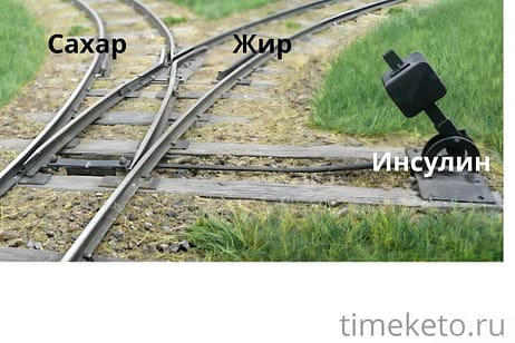 Суть инсулина: что будем сжигать жир или сахар