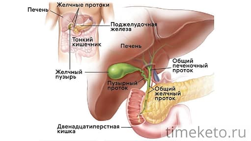 Инсулин - гормон поджелудочной железы